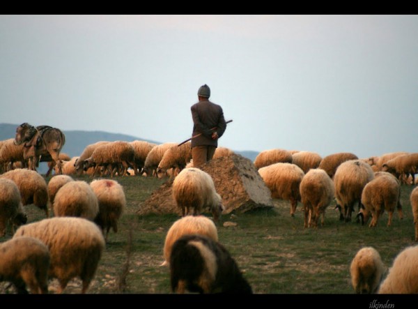 Şimşək çaxdı, çobanın ürəyi dayandı