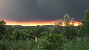 Portuqaliyada meşə yanğınlarında ölənlərin sayı 57 nəfərə çatıb - YENİLƏNİB