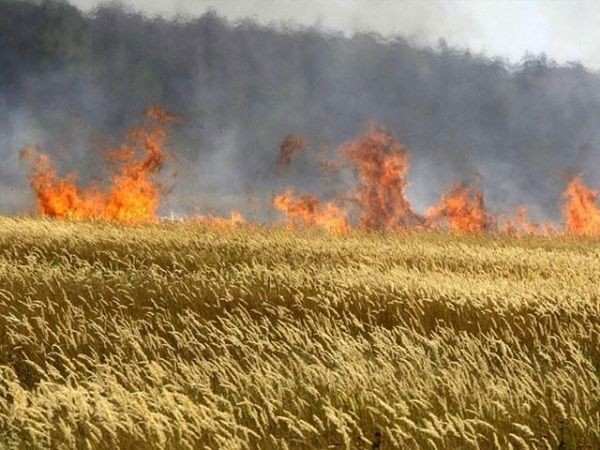 Ermənilər dinc əhalimizə qarşı yandırıcı güllələrdən istifadə edir