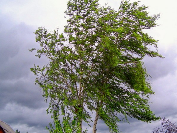 Havanın temperaturu aşağı enəcək, yağış yağacaq