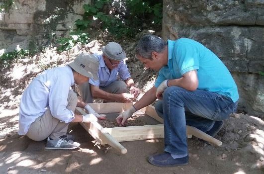 Yaponiyalı alimlərin Avey Dağı ərazisində tədqiqatları davam edir