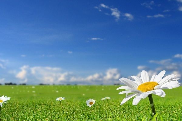 Həftənin ilk iş gününə olan hava proqnozu