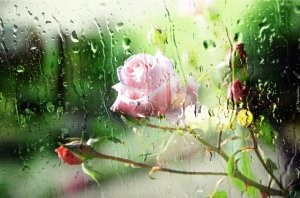Sabah havanın temperaturu enəcək
