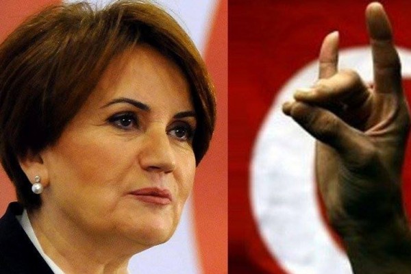 Meral Akşenerin partiyasında Bozqurd işarəsi qadağan ediləcək? — AÇIQLAMA