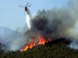 Qəbələdə meşə yanğınları ilə bağlı əməliyyat müşavirəsi keçirildi