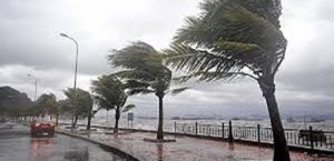 Poti və Batumi limanları bağlandı