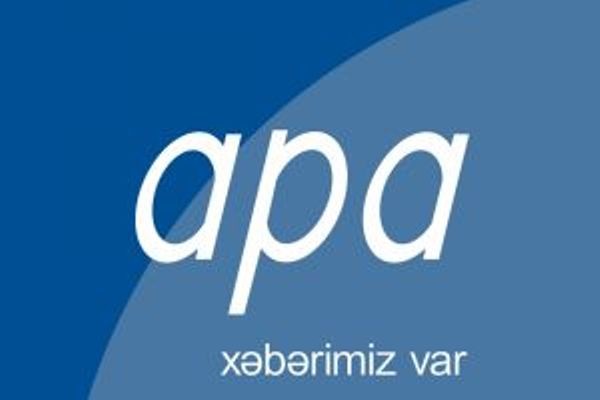 APA İnformasiya Agentliyinin 13 yaşı tamam olur