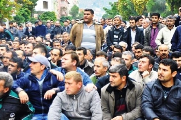 Dünya böyük təhlükə ilə üz-üzə: 800 milyon insan işsiz qalacaq