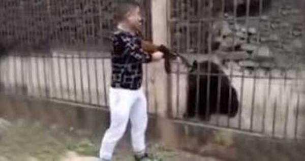 Zooparkda şok görüntülər: Qəfəsdəki ayını başından vuraraq öldürdü