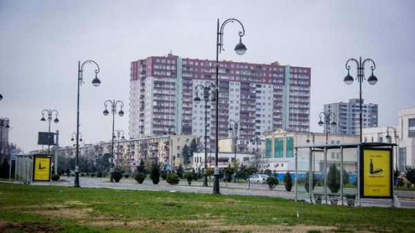 Bakıda parkdakı bütün ağaclar bir gecədə yoxa çıxdılar - FOTOLAR