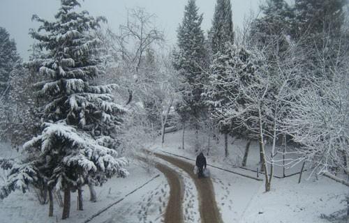 Sabahın HAVA PROQNOZU - qar yağacaq...