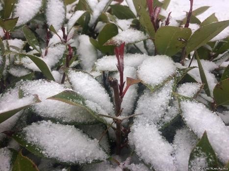Fevralın hava proqnozu AÇIQLANDI