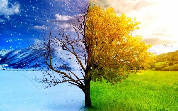 Yaxın 3 gündə hava necə olacaq? - Açıqlama