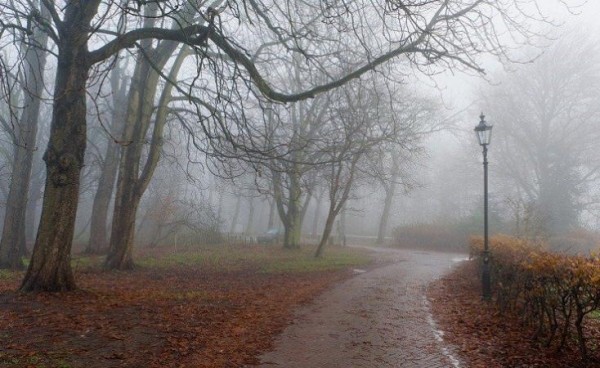 Sabahın hava PROQNOZU