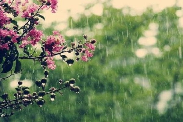 Sabahın havası - RAYONLARA YAĞIŞ, DOLU... - XƏBƏRDARLIQ