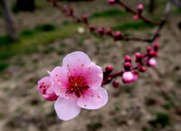 Sabahın hava PROQNOZU