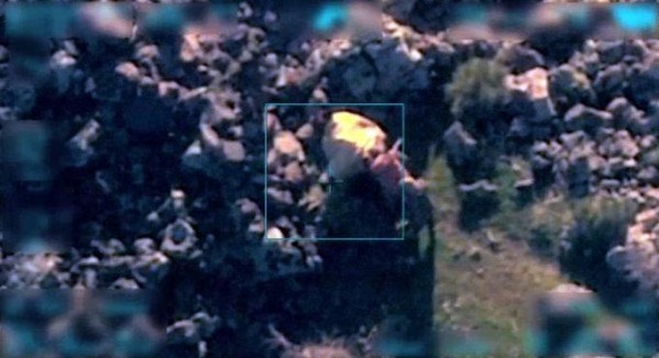 Türk dronları PKK-nı çəkdi: heyvanlara işgəncə – Video