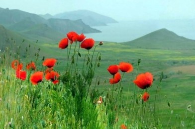 Sabahın HAVA PROQNOZU