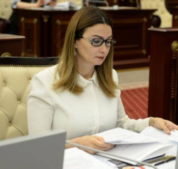 Qənirə Paşayeva  əllilərin işlə təmin edilməsi haqqında kvotadan danışdı -Parlamentdə