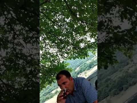 Azərbaycanda ŞOK: Ağacın kölgəsini ərəbə satdı: - “Ağacı Allah yaradıb, amma buraya mən baxıram”