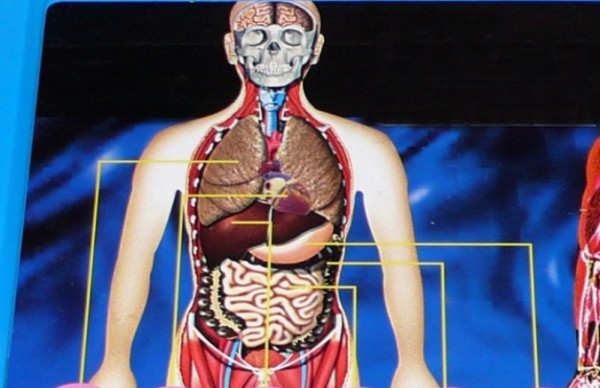 İnsan orqanizmində xərçəngdən müdafiə mexanizmi tapıldı - Gözlənilməz