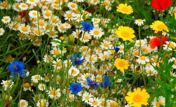 Sabahın hava proqnozu açıqlanıb Sabahın hava proqnozu açıqlanıb