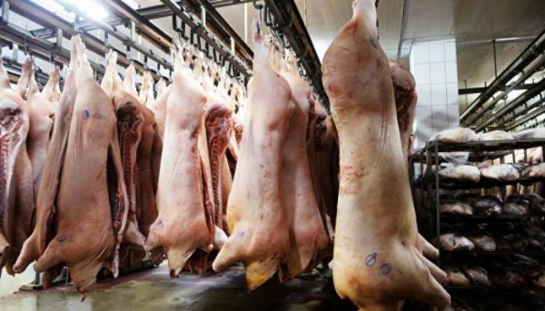 Ət istehsalçıları vegetarian festivalının ləğvinə nail oldu