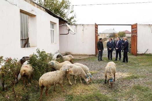 Şəmkirdə özünüməşğulluq proqramı çərçivəsində yaradılan kiçik ailə  təsərrüfatlarına baxış olub