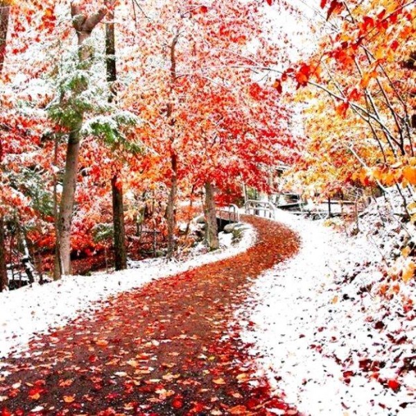 Dekabrın ikinci yarısında havanın temperaturu aşağı enəcək - Umayra Tağıyeva