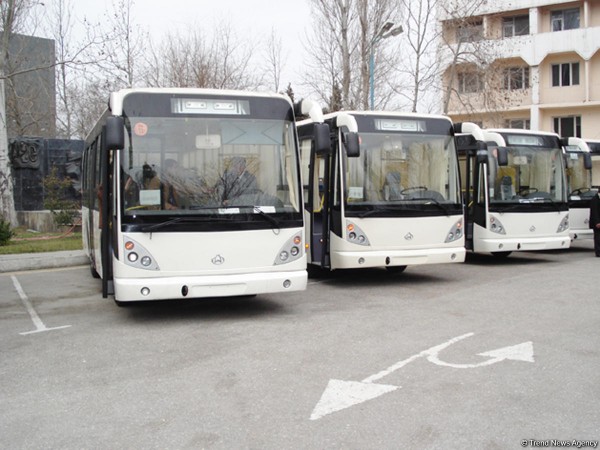 Ziya Məmmədovun avtobusları satılmır
