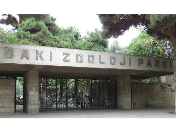 Bakı Zooparkı bağlanır - Heyvanlar Qaradağa köçürülür