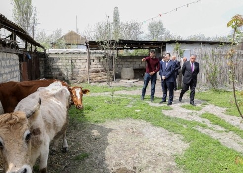 Ağdaşda özünüməşğulluq proqramı çərçivəsində yaradılmış təsərrüfatlara baxış olub