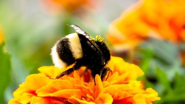 Sabahın HAVA PROQNOZU