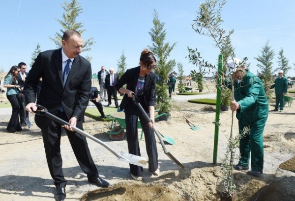 Prezident İlham Əliyev Heydər Əliyevin doğum gününə həsr olunan ağacəkmə aksiyasında iştirak edib