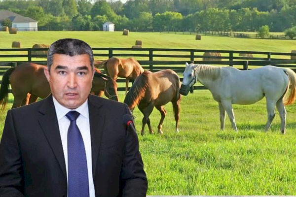 Etibar Pirverdiyev bahalı atlarını satdı... - gündə 300 manat xərcləyirmiş