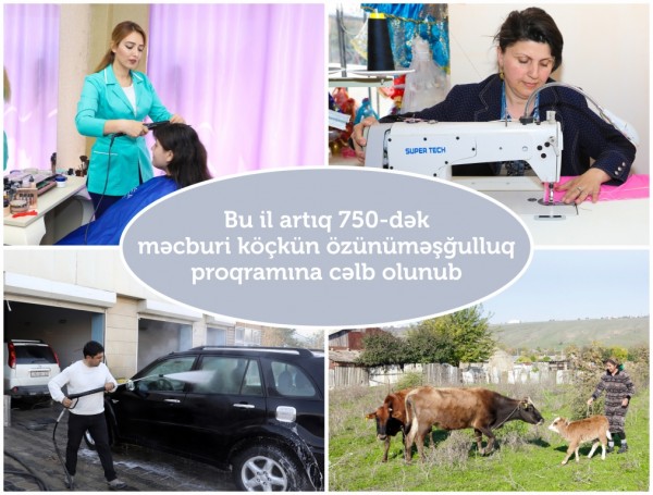 750-dək məcburi köçkün özünüməşğulluq  proqramına cəlb olunub