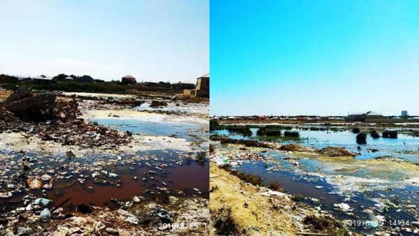 RƏZALƏT! Şəhid ailələrinə ev tikmək üçün bataqlıqdan torpaq verilib