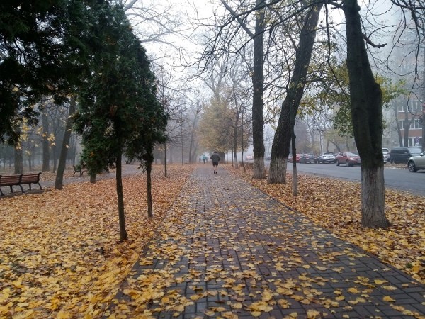 Bakıda havanın temperaturu iqlim normasından 2 dərəcə aşağıdır - FAKTİKi HAVA