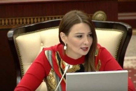 Qənirə Paşayeva qazilərlə bağlı hökumətə müraciət etdi