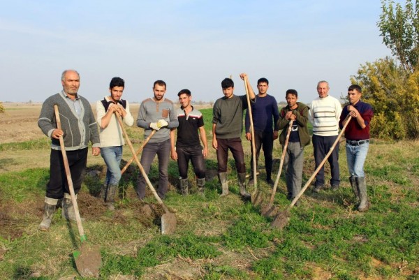 Sərhədyanı rayonda yeni məşğulluq layihəsi işə salınıb