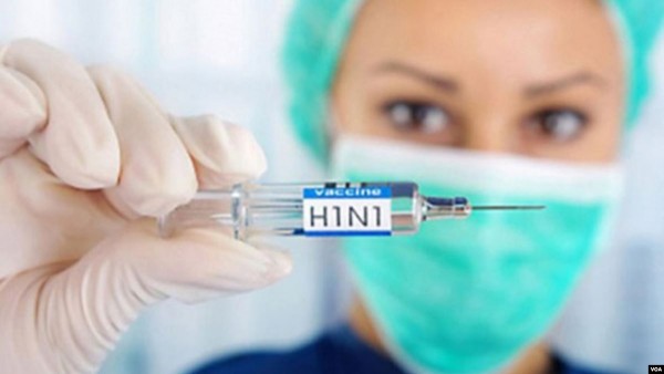 Gürcüstanda "donuz qripi"nə yoluxma halı qeydə alınıb