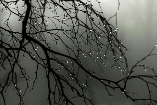 Sabahın hava proqnozu - EVDƏN ÇIXANDA ÇƏTİR GÖTÜRÜN