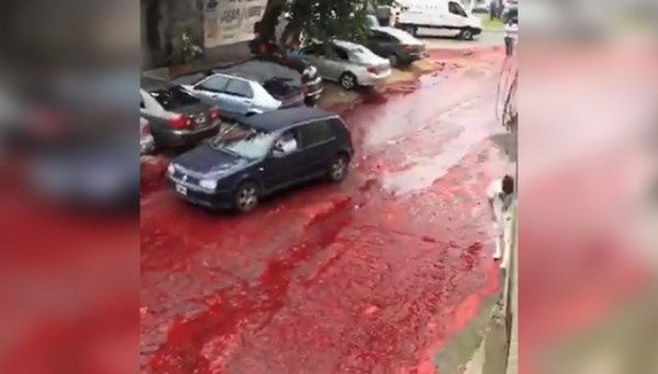 Qan çəni partladı: küçələr qana boyandı
