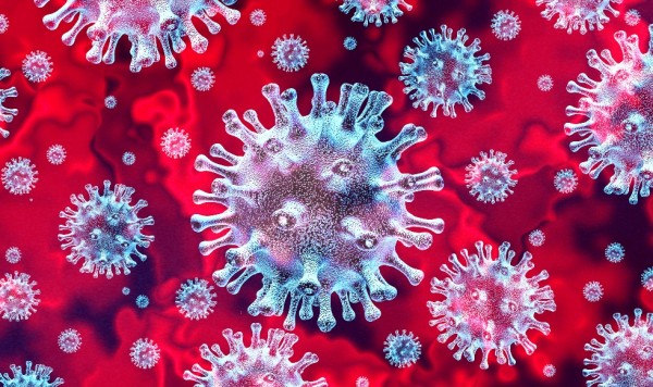 Koronavirus mikroskop altında belə görünür - FOTO