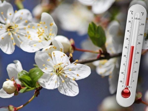 Sabahın hava proqnozu açıqlanıb