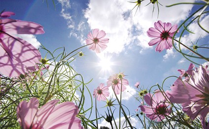 Sabaha gözlənilən hava şəraiti açıqlandı