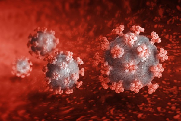 Koronavirus bu orqanı da zədələyir — Alimlərdən açıqlama