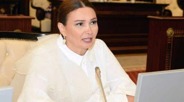 Qənirə Paşayeva 2019-cu il hesabatının müzakirəsi zamanı təkliflərlə çıxış edib