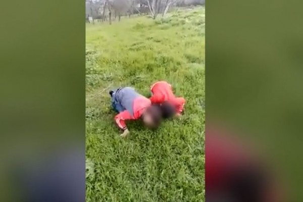 Uşaqları “otlamağa məcbur edib” videoya çəkən şəxs həbs olundu - RƏSMİ