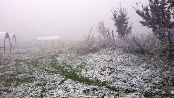 Sabahın hava proqnozu: Bəzi yerlərdə dolu...